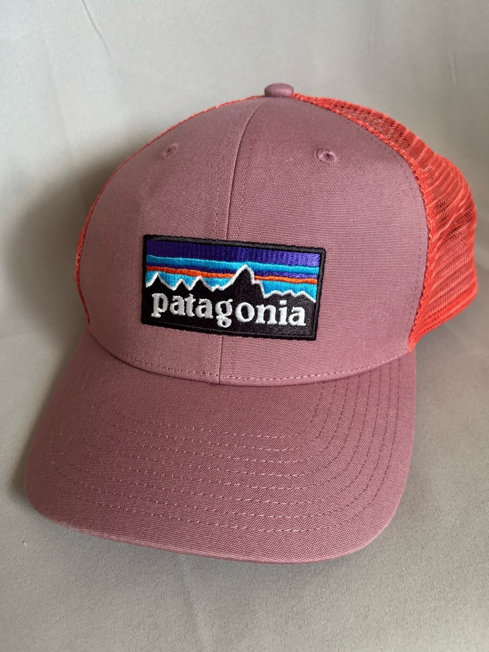 Patagonia P-6 Logo Trucker Hat